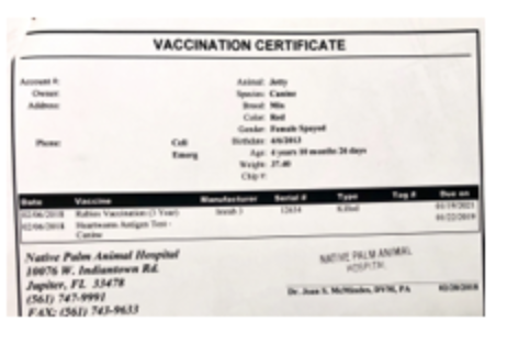 rabies vaccine certificate